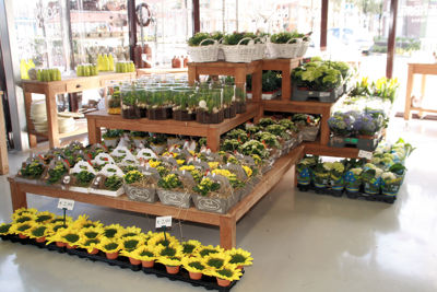 Foto 224 uit WINKELSBeverwaard