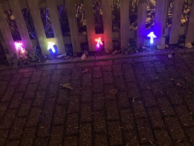 Foto 47 uit Kerst In Beverwaard