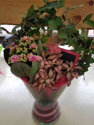 Foto 311 uit NeelyshaBloemen