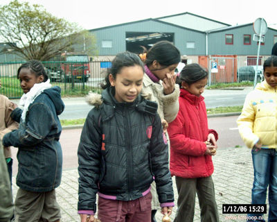 Foto 118 uit bloembollen planten