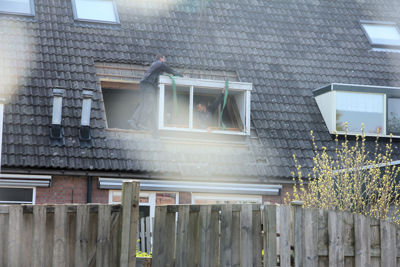 Foto 3 uit DakkapelPlaatsen