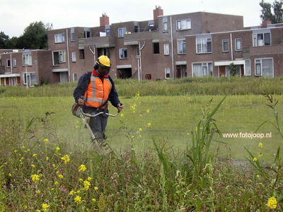 Foto 216 uit stratenmakers