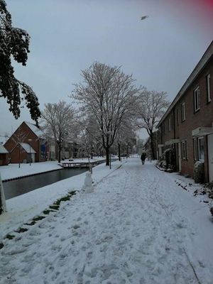Foto 19 uit WinterIn Beverwaard_2