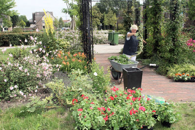 Foto 16 uit TropischeTuin16_07