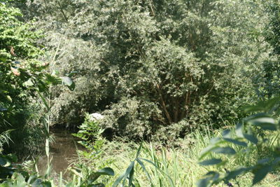 Foto 119 uit StratenBEVERWAARD