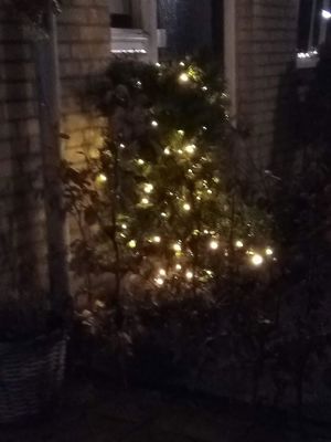 Foto 8 uit Kerst In Beverwaard_2