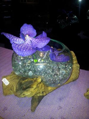 Foto 304 uit NeelyshaBloemen