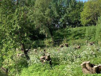 Foto 251 uit StratenBEVERWAARD