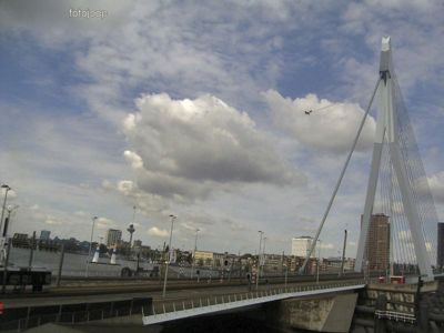 Foto 159 uit red bull air race r.dam