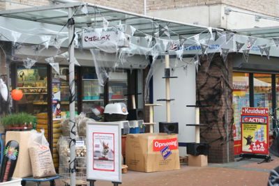 Foto 9 uit HaLLoWeeN29_10_11