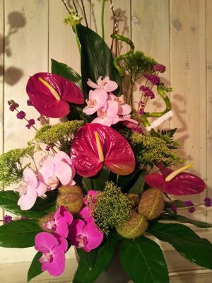 Foto 76 uit NeelyshaBloemen