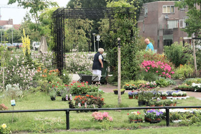 Foto 332 uit TropischeTuin 2017