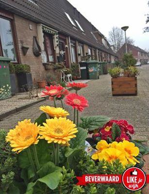 Foto 215 uit LIKEJEWIJK FOTO'S_3