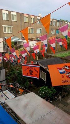 Foto 4 uit OranjeInBeverwaard