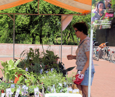 Foto 2 uit Tuin-Academie25-4_9