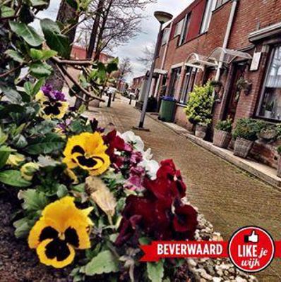 Foto 633 uit LIKEJEWIJK FOTO'S_2