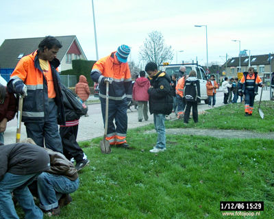 Foto 119 uit bloembollen planten