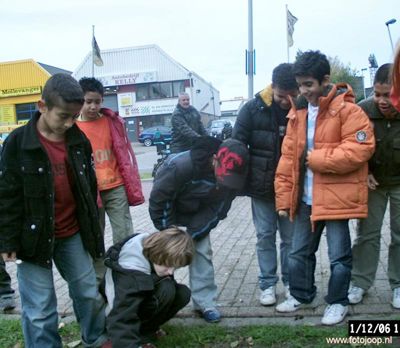 Foto 20 uit bloembollen planten