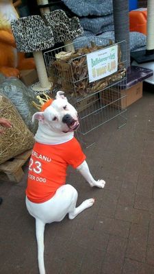 Foto 102 uit OranjeInBeverwaard