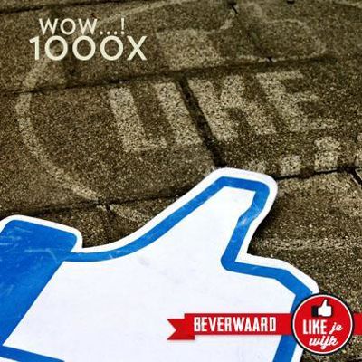 Foto 179 uit LIKEJEWIJK FOTO'S