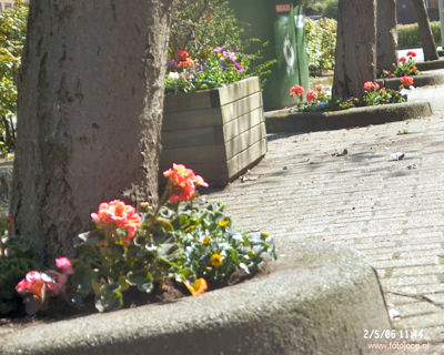 Foto 57 uit opzoomeren 2006 bw