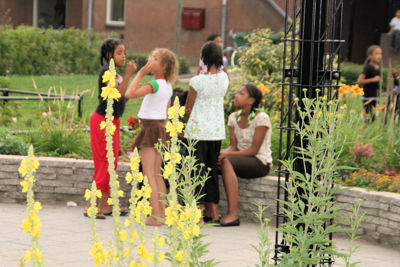 Foto 146 uit TropischeTuin 2017