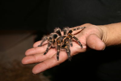 Foto 108 uit HaLLoWeeN29_10_11