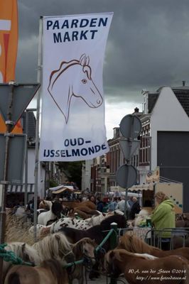 Foto 20 uit Paardenmarkt25-6