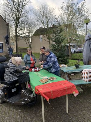 Foto 8 uit Kerstboom optuigen