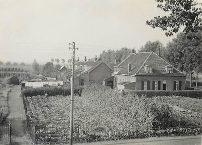 Foto 92 uit SloopEnOpbouwWIJK