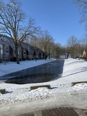 Foto 186 uit WinterIn Beverwaard