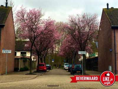 Foto 117 uit LIKEJEWIJK FOTO'S_3