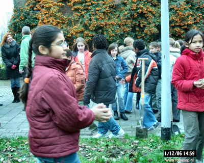 Foto 55 uit bloembollen planten