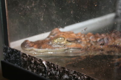 Foto 92 uit HaLLoWeeN29_10_11