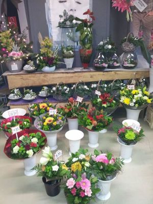 Foto 345 uit NeelyshaBloemen