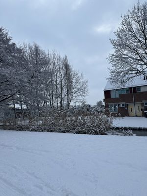 Foto 20 uit X- Sneeuw in de Beverwaard 2026