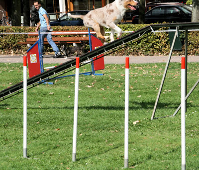 Foto 103 uit Wijkfeest12-09-2009