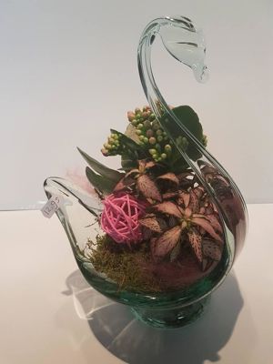 Foto 237 uit NeelyshaBloemen