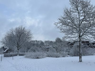 Foto 11 uit X- Sneeuw in de Beverwaard 2026