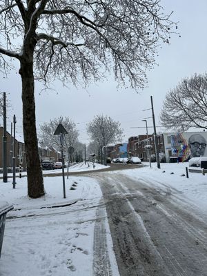 Foto 23 uit X- Sneeuw in de Beverwaard 2026