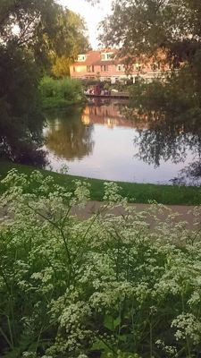 Foto 8 uit ParkenInBeverwaard