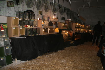 Foto 61 uit HaLLoWeeN29_10_11