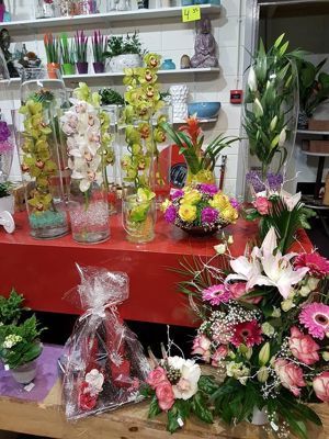 Foto 3 uit NeelyshaNieuweZaak