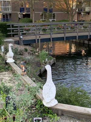 Foto 6 uit Tuin IJsselburgh