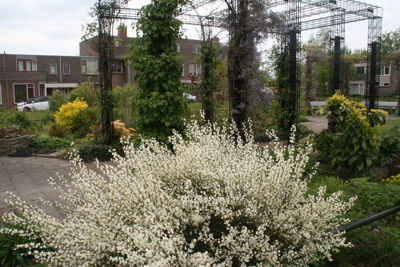 Foto 352 uit TropischeTuin 2017