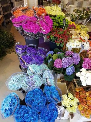 Foto 175 uit NeelyshaBloemen