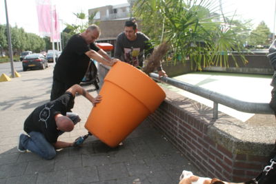 Foto 13 uit Grote-Bloem-Potten