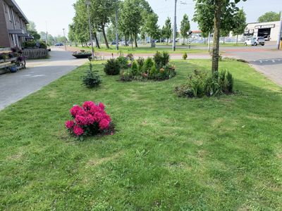 Foto 157 uit Rondje Beverwaard 2026