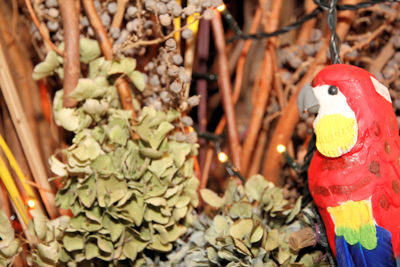 Foto 175 uit Workshops-Bloemen