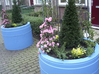 Foto 20 uit opzomeren 2005